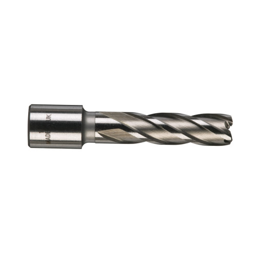 Cumpara Carota HSS cu prindere Weldon, Ø17mmx50mm, 4932343292 Carota HSS cu prindere Weldon, Ø17mmx50mm, 4932343292